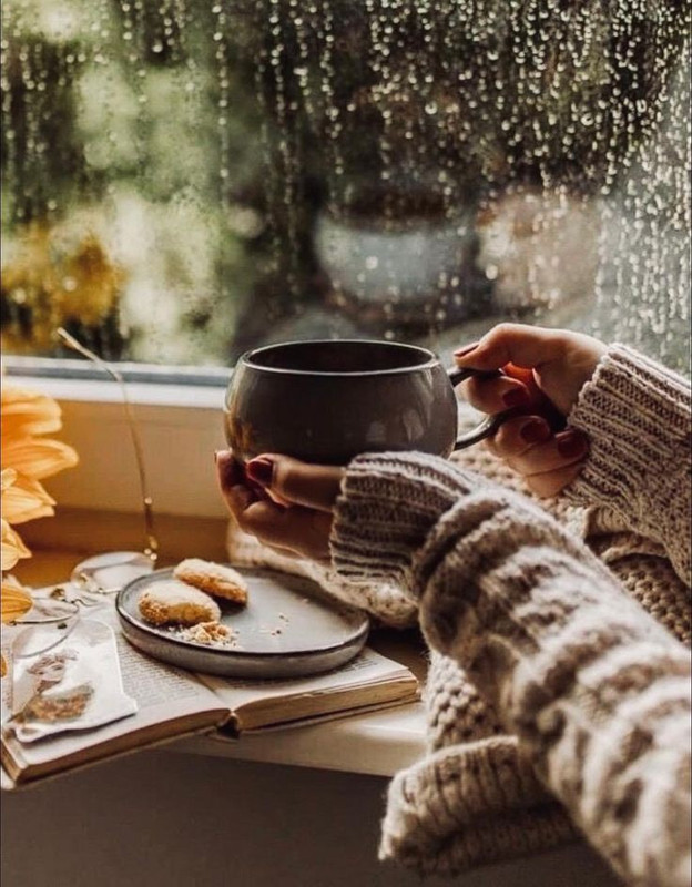 0411882afca7d81500c1608864d48436