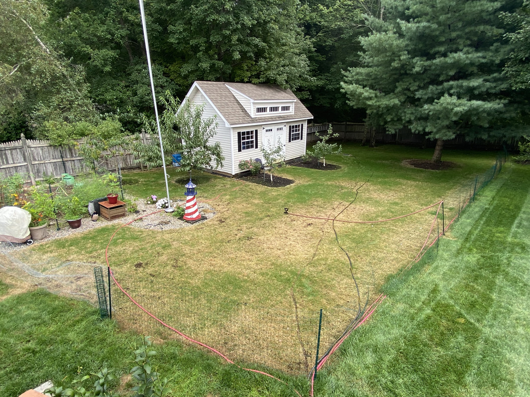 38B96343-F356-48D7-86C6-EFA0D8002F80