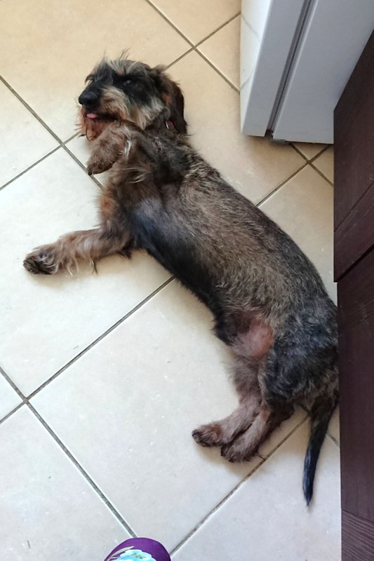 [Image: DSC-4062.jpg]