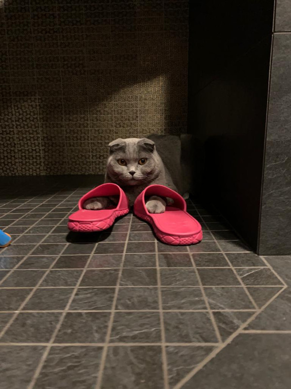 B866324A-7166-4FED-9559-F49C87814D36