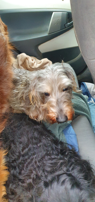 [Image: 20230329-165537-EZECHIEL.jpg]