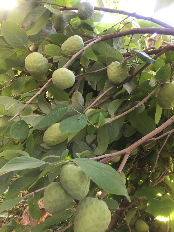 223C4227-0F15-4470-BA0F-A310D3D86054