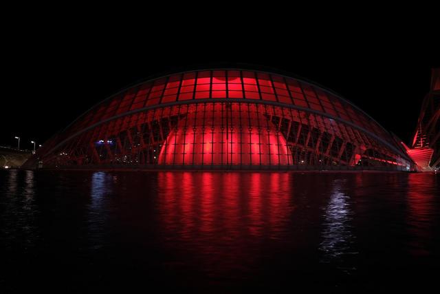 VALENCIA en un fin de semana - Blogs de España - Sábado 30/12: Llegada a Valencia y visita al Oceanogràfic (31)