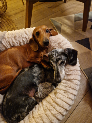 [Image: 20230109-164526.jpg]