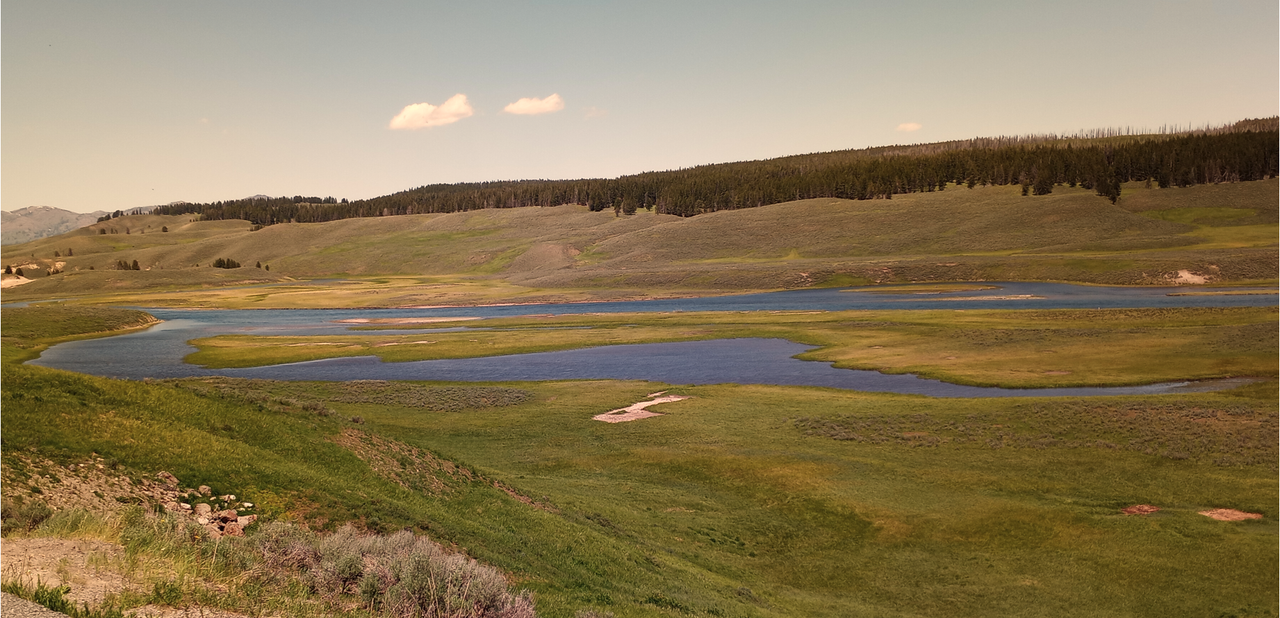 [Image: Hayden-Valley-Overlook2.png]