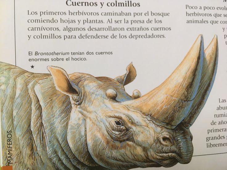 db63ff68d43d80df67184793c6f51def (1)