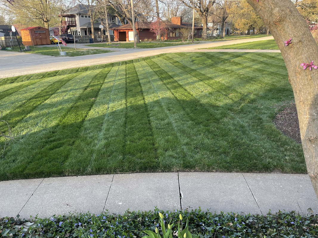 6BB4C534-31B3-4F66-B511-DBA135F09FD9