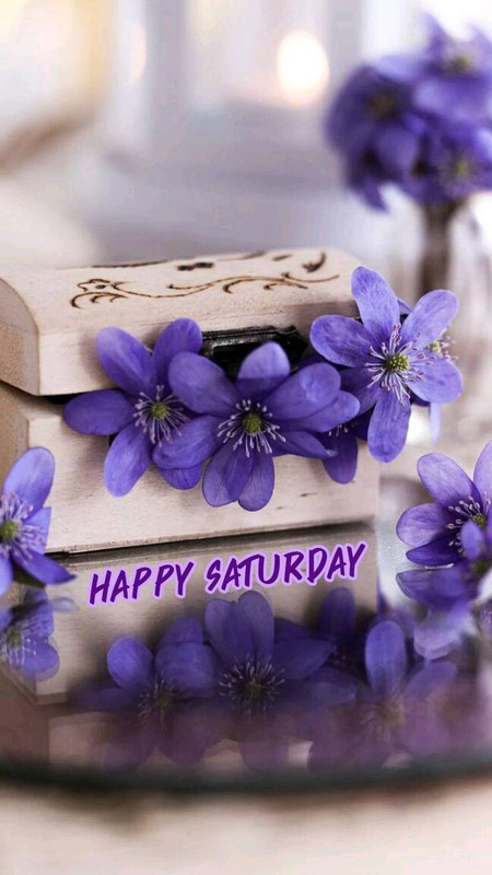 An den Beitrag angehängtes Bild: https://i.postimg.cc/d1983Qbp/oie-2875546VWu-TG31Z.jpg