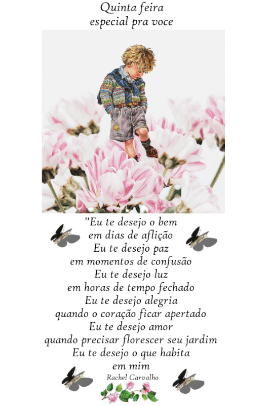 oie-oie-overlay-1.gif