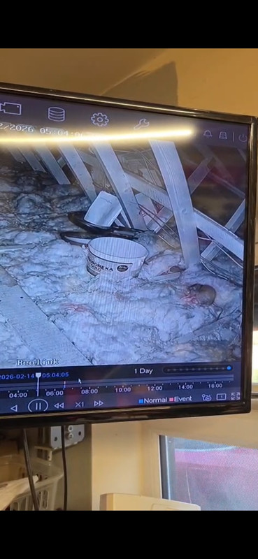 Screenshot 20260214 103639 Whats App