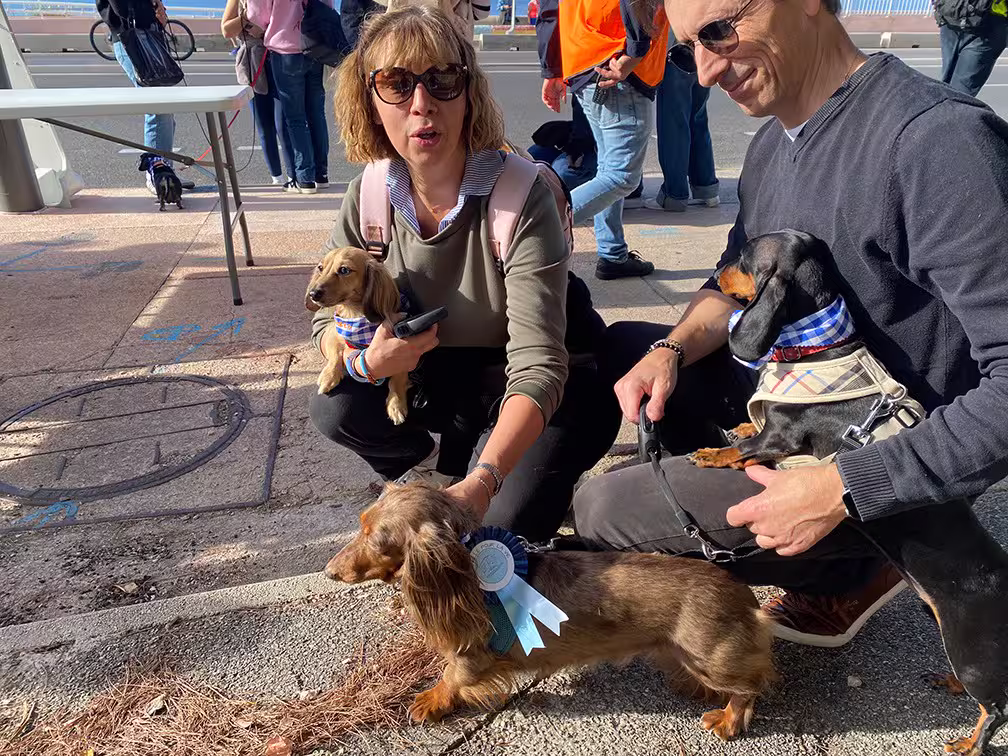 [Image: temp-Image60dzg-C.avif]