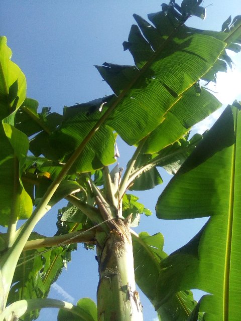 IMG_20200213_152145 (1)