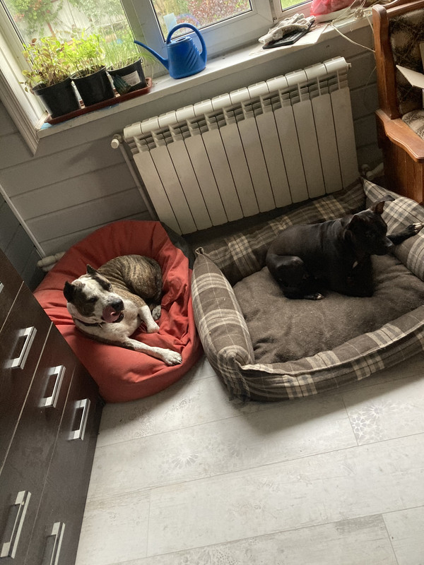 16BE9B76-7893-485A-B153-DE11292C938D