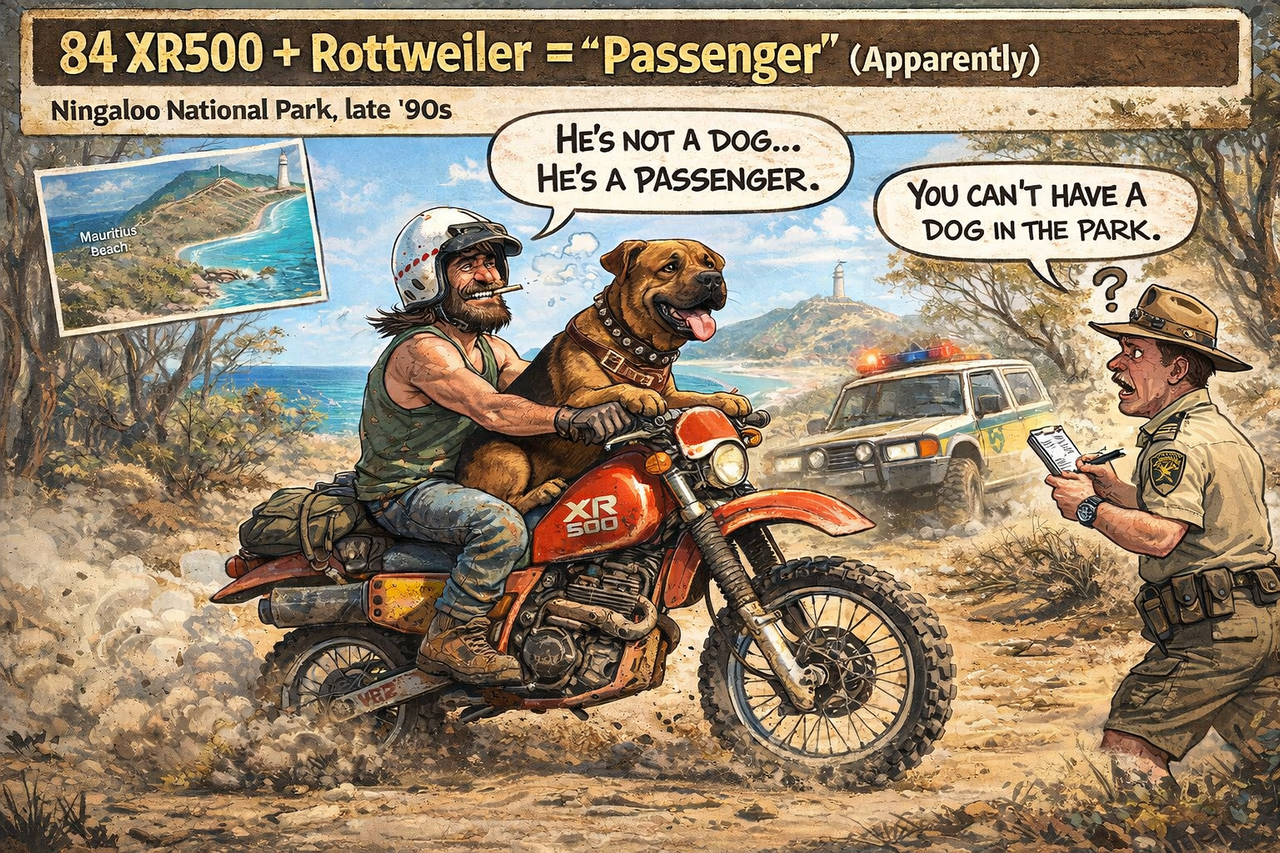 a5444d79 4b9a 478e b706 5b844d9945ba