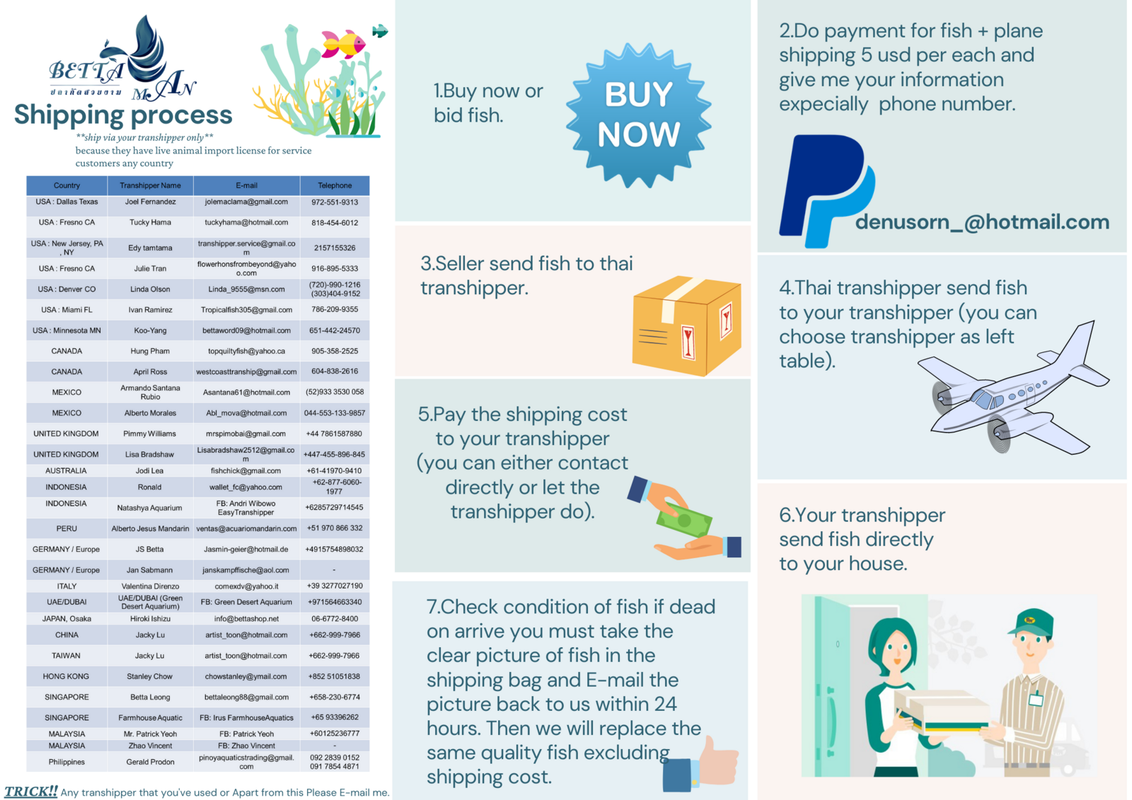 Colorful Fruits Straightforward Education Landscape Poster (2)