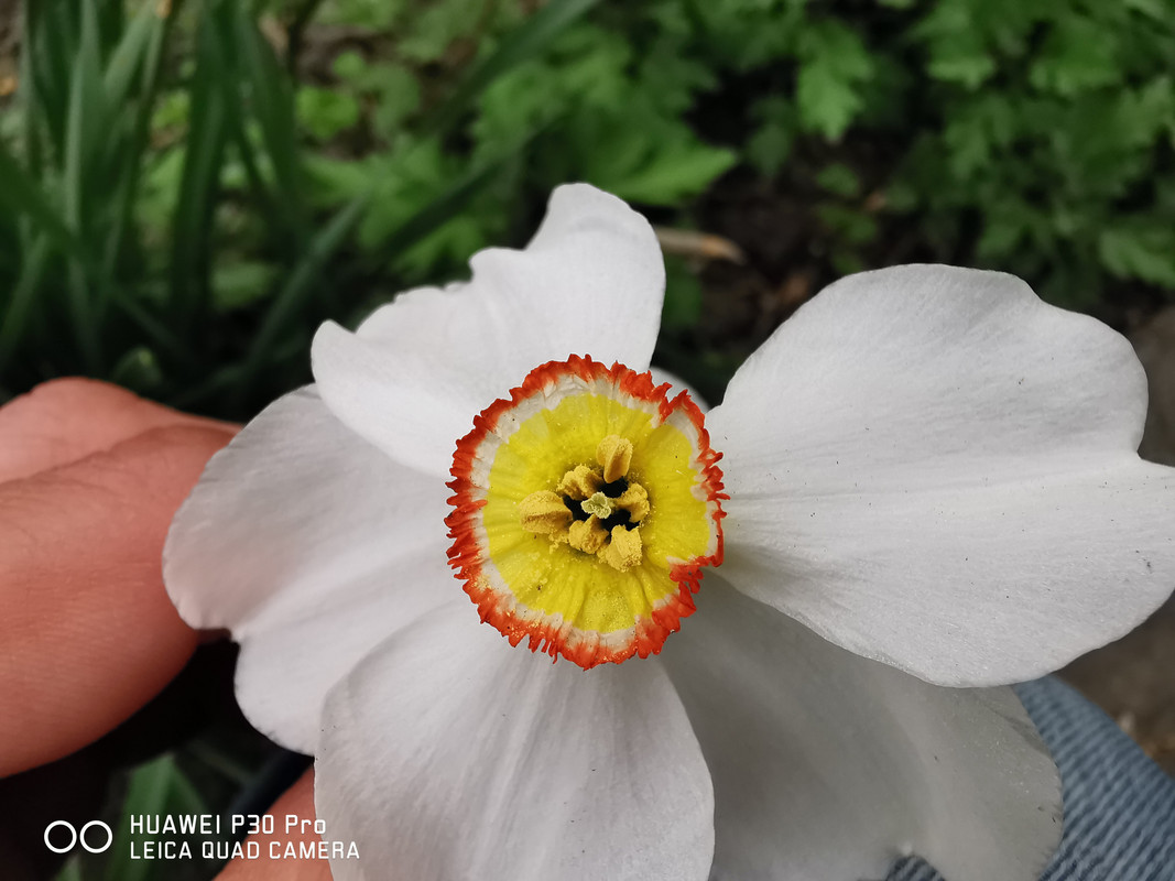 IMG_20190407_173033