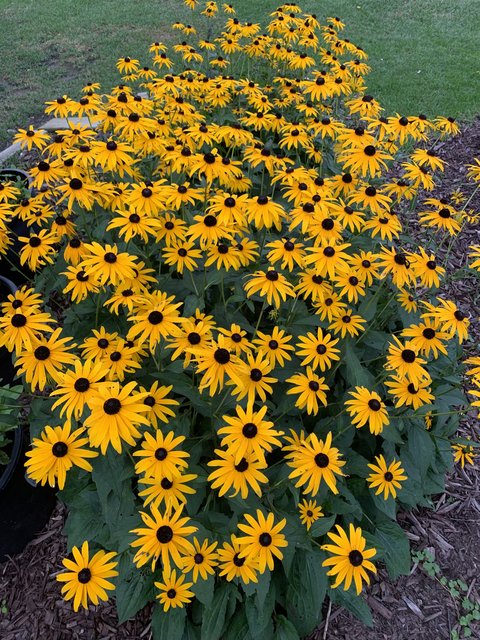 [Image: IMG-6435.jpg]