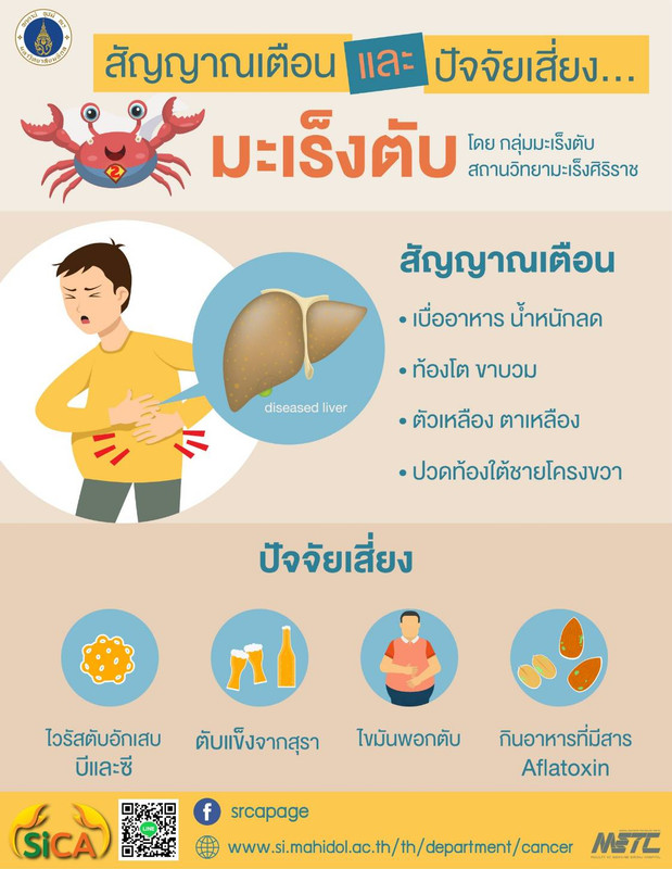 สัญญาณเตือนและปัจจัยเสี่ยง...มะเร็งตับ