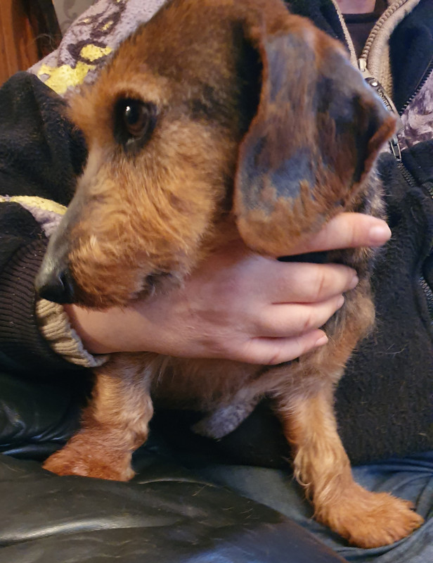 [Image: 20220318-193358.jpg]