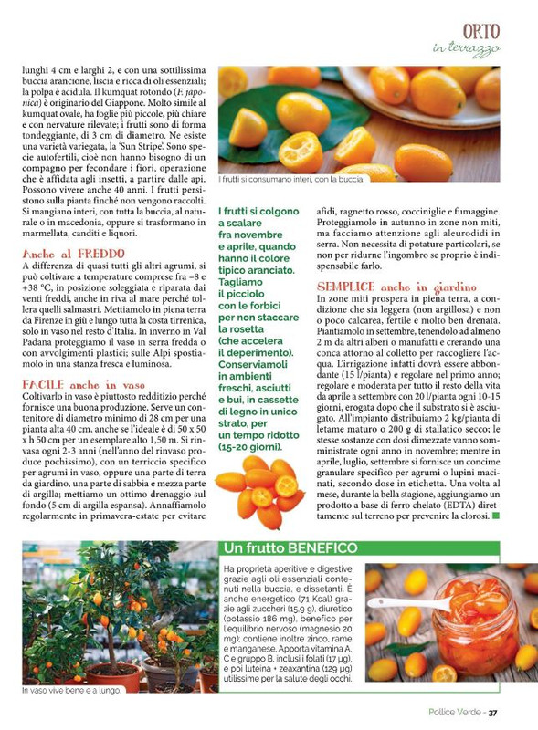 Pol Ver Nov-Dic 2022 (2)