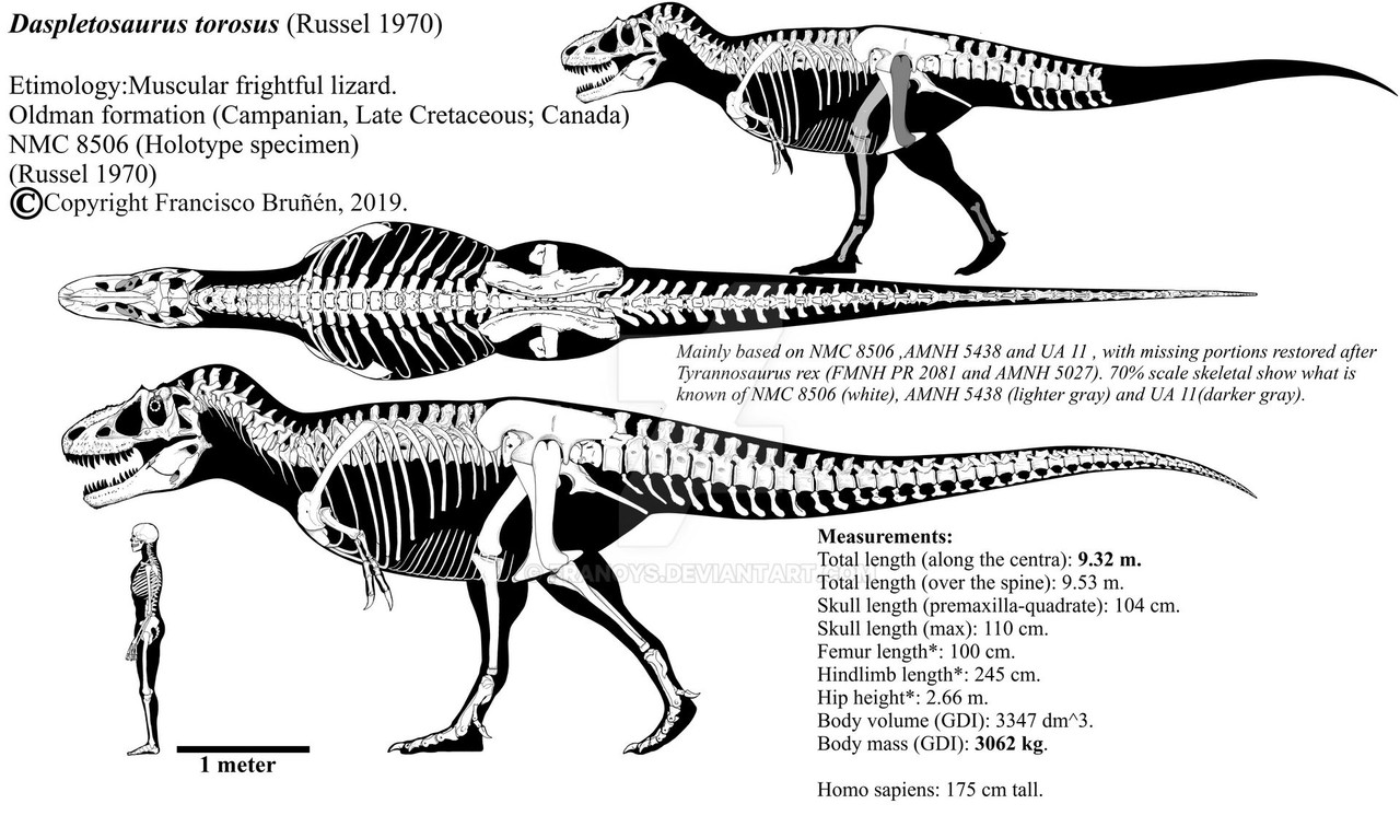 https://i.postimg.cc/d1CT0zzB/daspletosaurus-torosus-skeletal-reconstruction-by-franoys-dbw6vrx-fullview.jpg