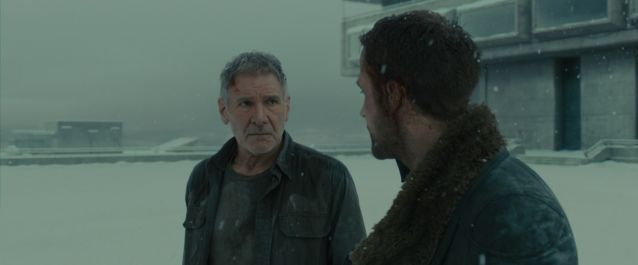 Blade Runner 2049 (2017) V2.mkv_snapshot_02.29.31_[2018.02.03_22