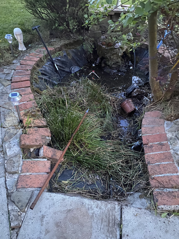 10969F9E-958A-45C5-B93A-C7902F841B9F