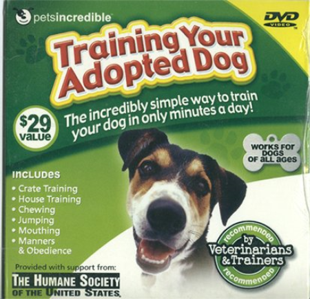 Training Your Adopted Dog