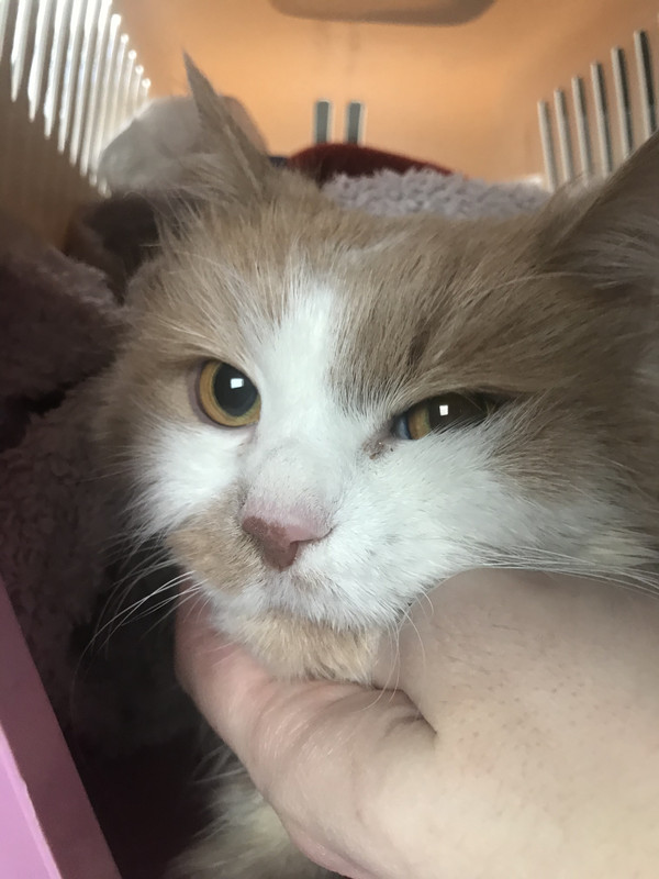 C6F52248-8B5C-44BD-A9F6-ED0EE2EAEB76