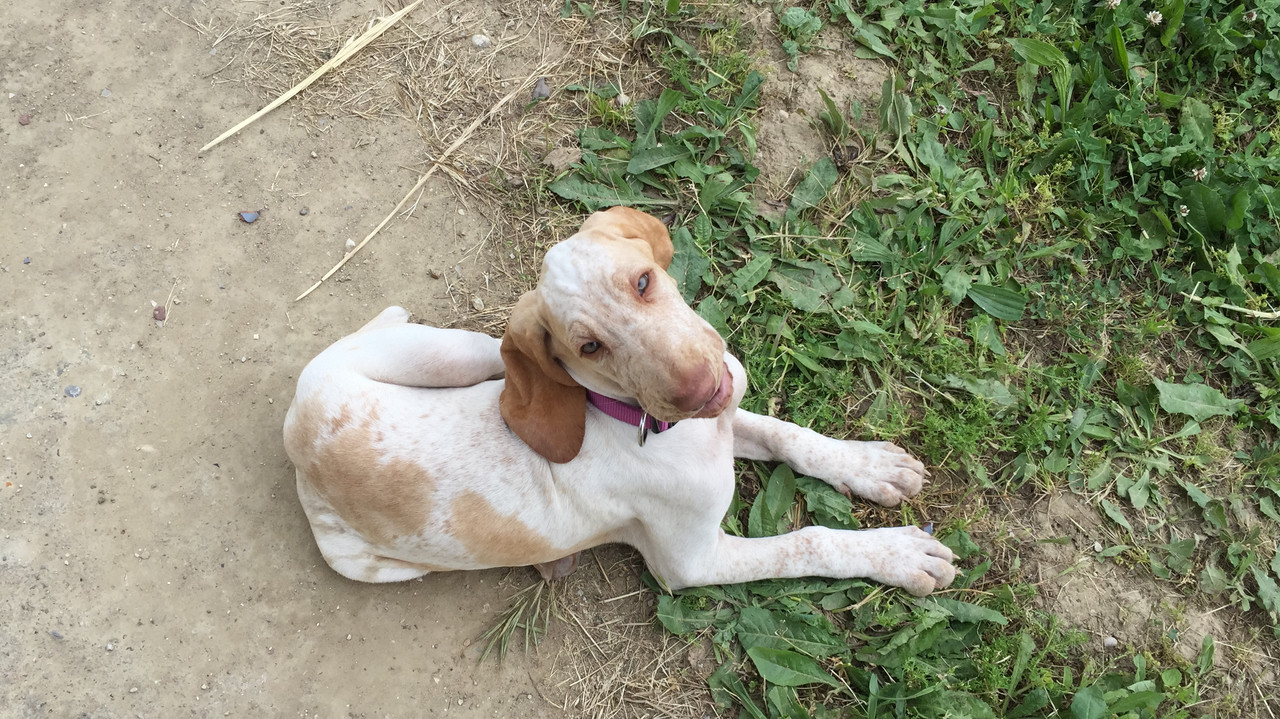 B5A15755-F0FD-4694-B6F0-7312D41D0D47