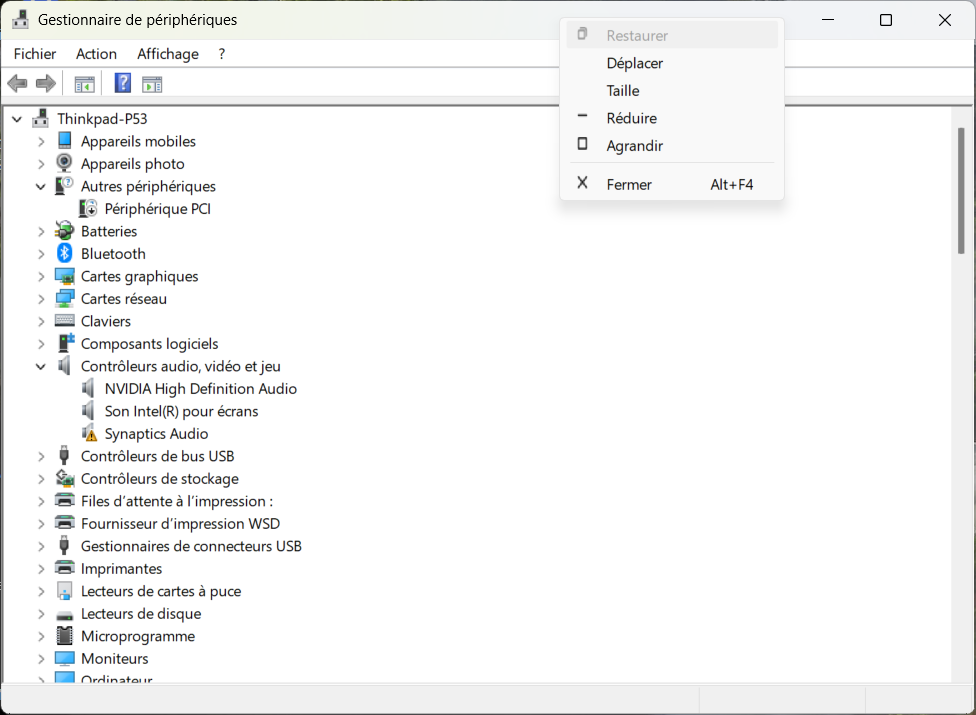 Capture d'écran 2024-10-29 165355