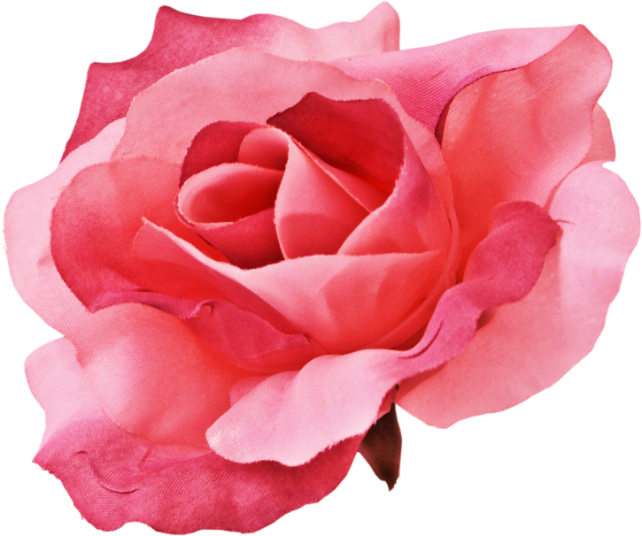 BIBI-PINK ANGEL ELEMS (44)