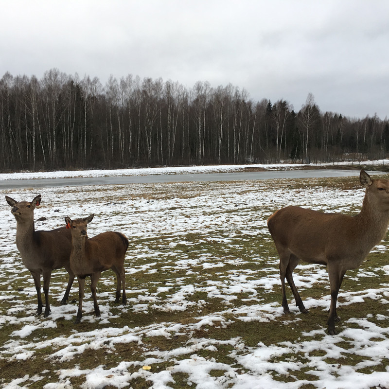 AFE56E7A-43EB-4433-91B9-BF7B55F90065