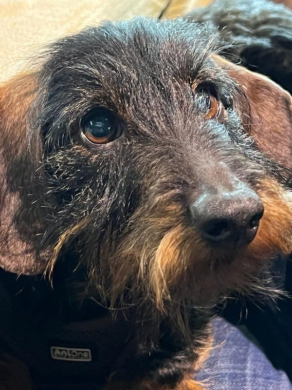 [Image: IMG-20240118-WA0005.jpg]