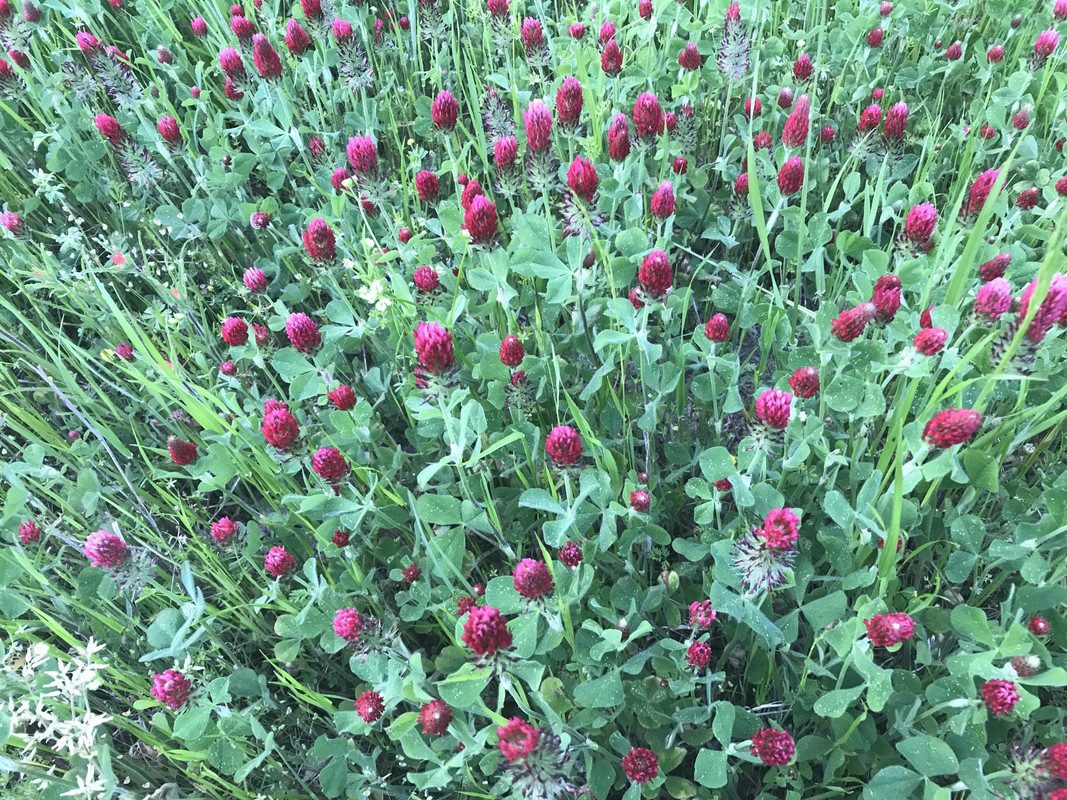 4875B041-4187-455F-9E33-68693A140669