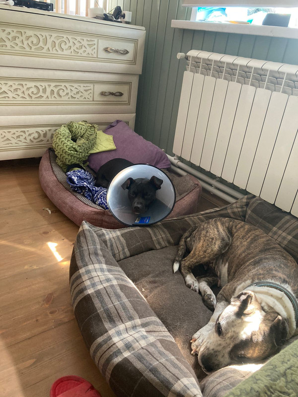 831C84CE-A957-49A7-AAFE-FC6AEEED1A52