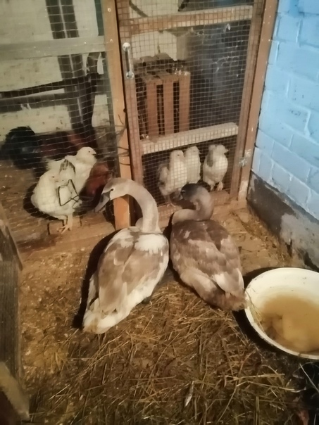 30A9E0C8-2E21-49FD-B315-97EA6C96E470