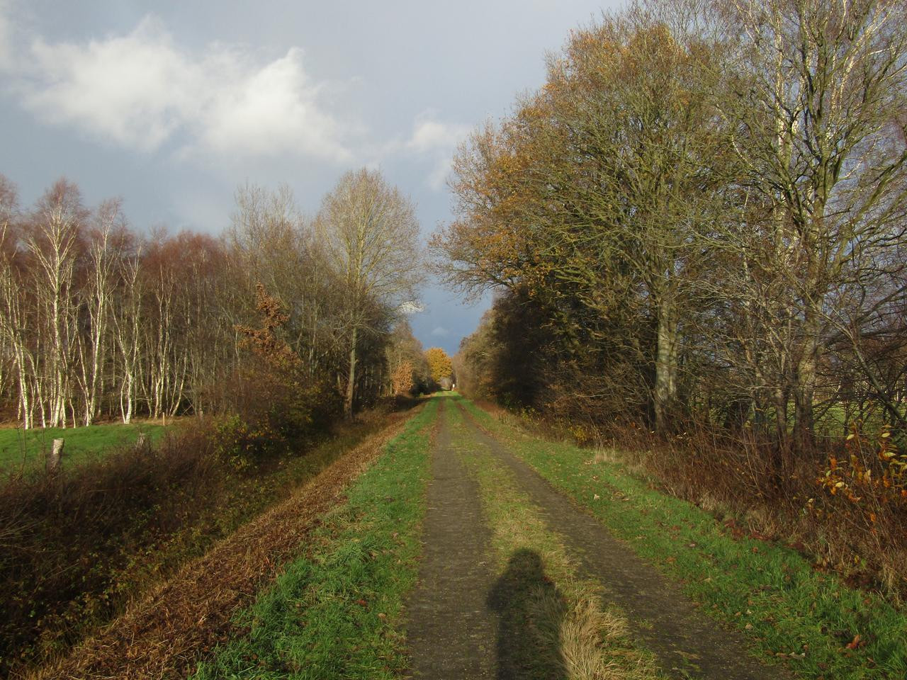 IMG 0841