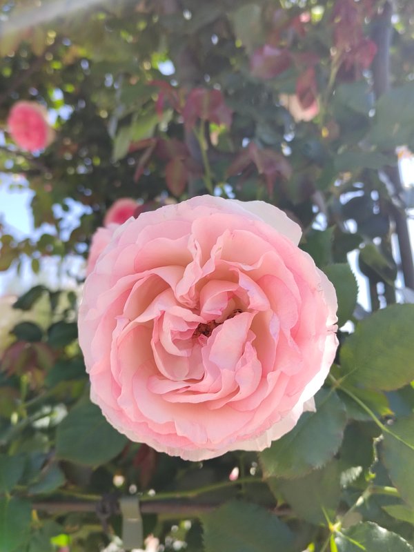 https://i.postimg.cc/d1F12WKq/09-IMG-20250529-125750.jpg