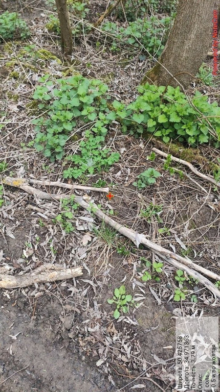 photo 12 2026 04 15 23 27 33