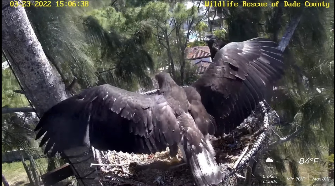 D867FF2E-B51D-4171-9DA5-62B7657BC568