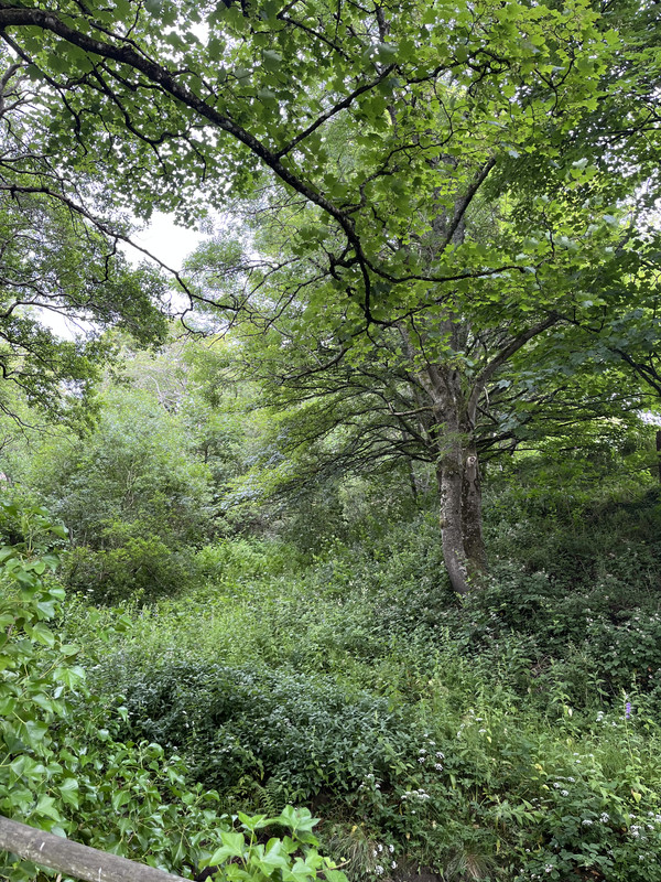 IMG 7888