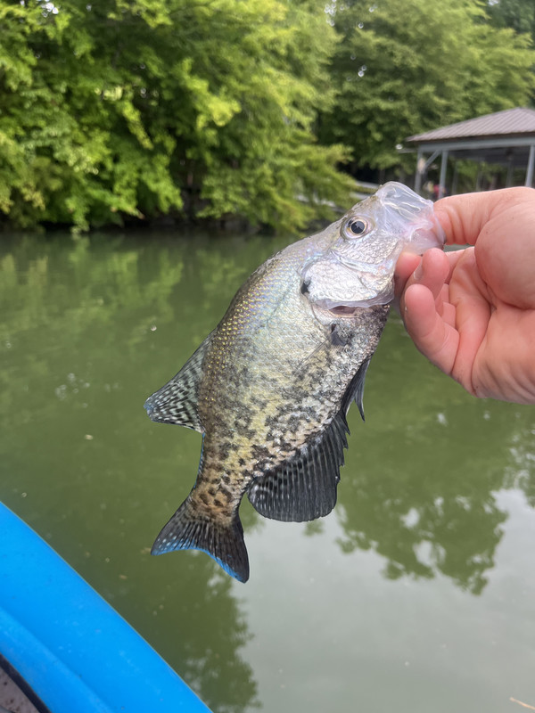IMG-2656.jpg