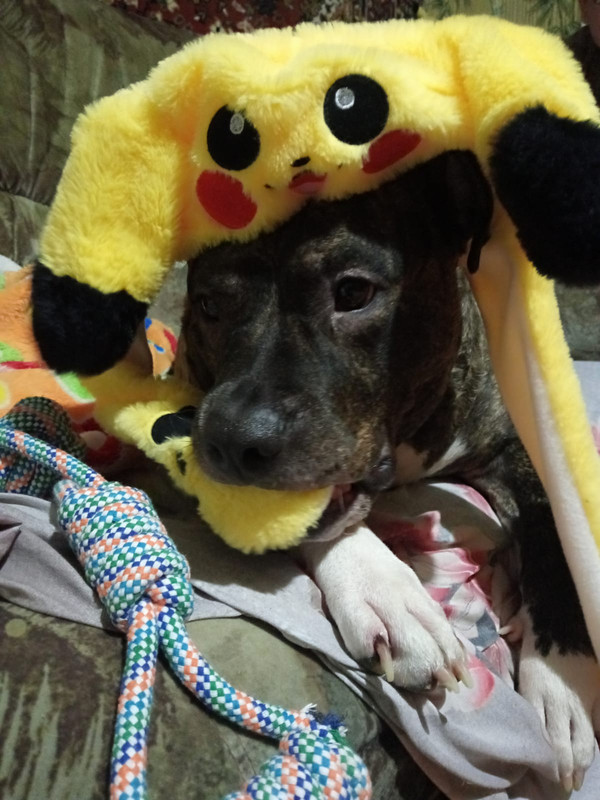 9C736137-281C-4348-AA22-B6B7D145A2FB