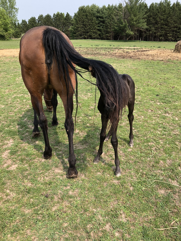 62BC8244-8FE3-4256-A654-7932C0D4A600