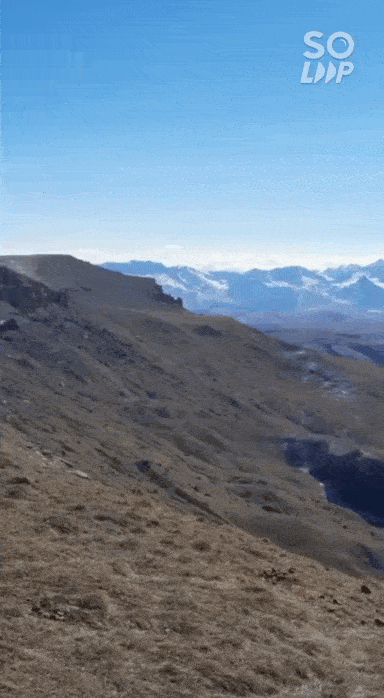 Soloop-20211031114134.gif