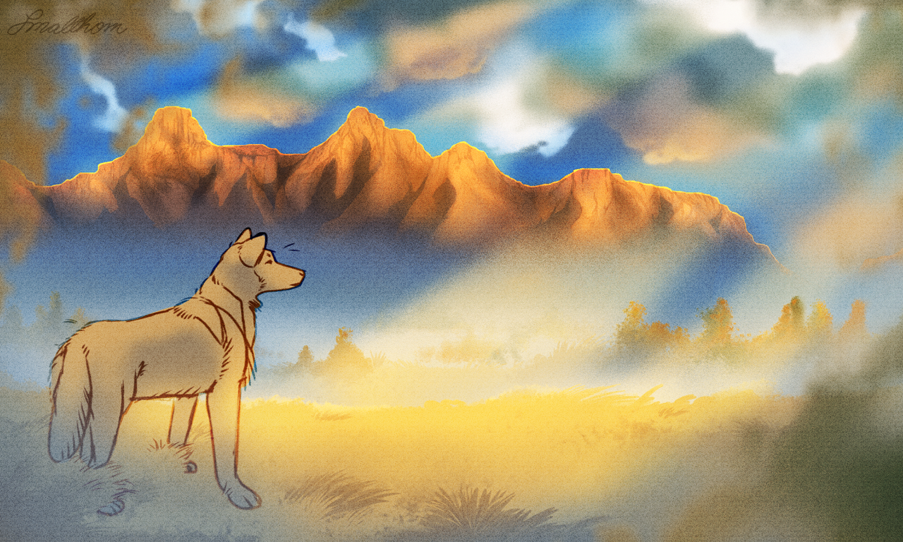 Untitled-4-copy.png
