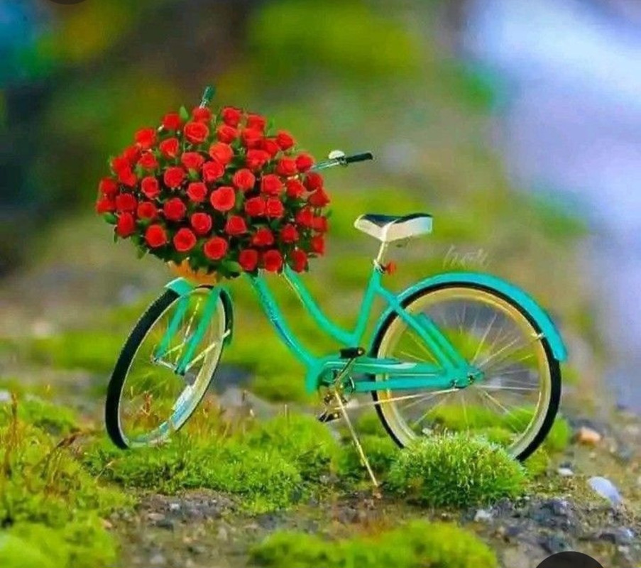 Screenshot_20230409_224304_Pinterest