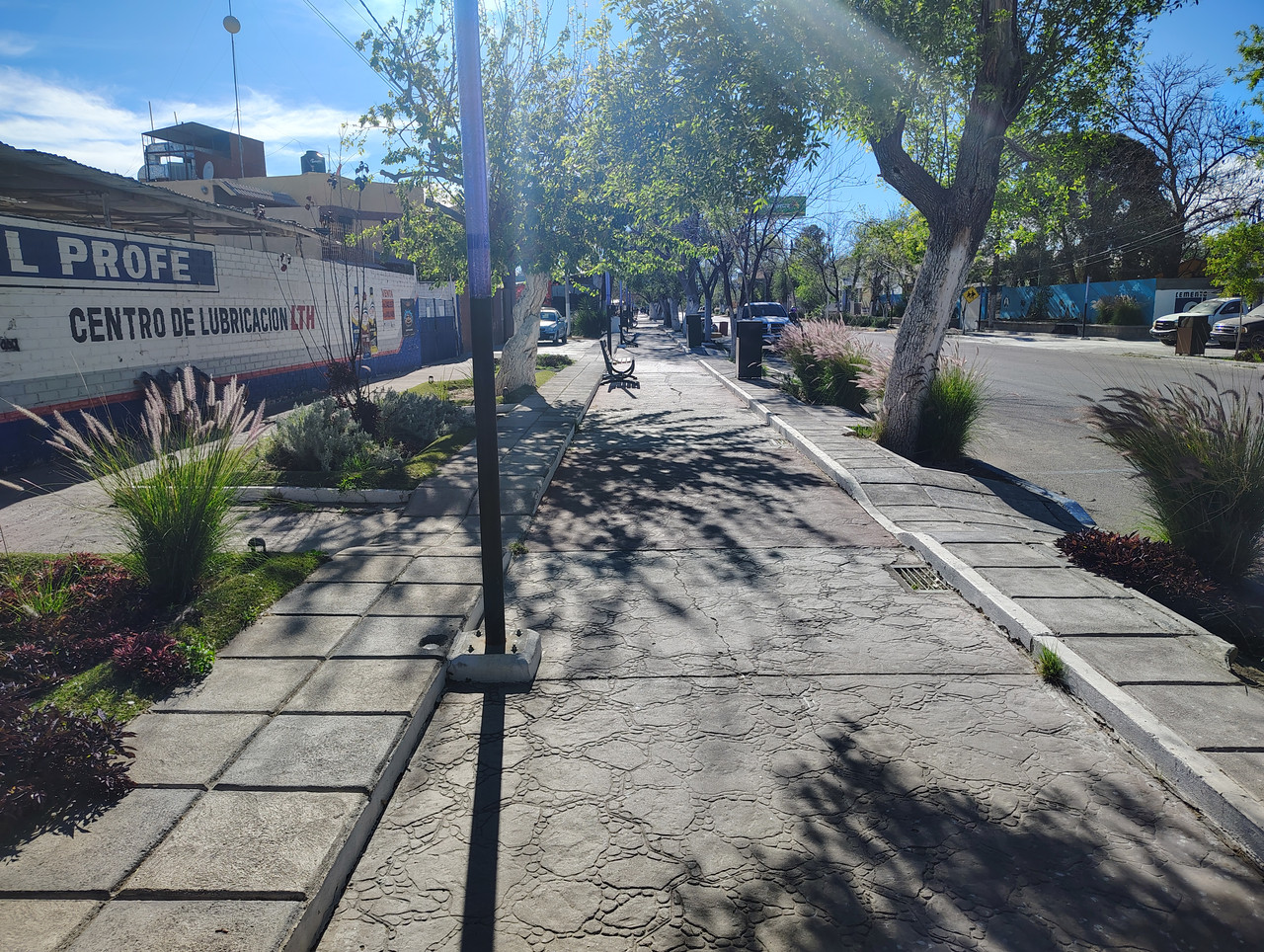 IMG 20260315 164140157 HDR