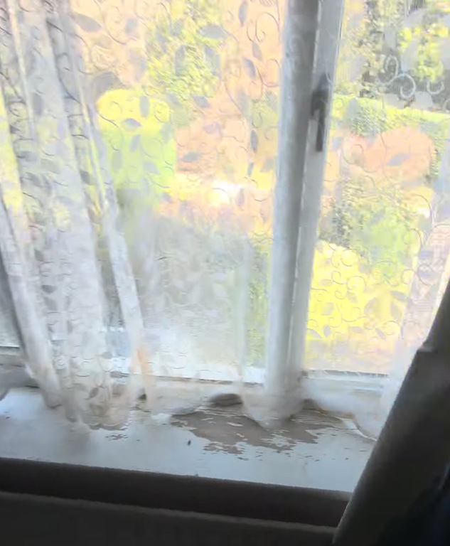 Screenshot 2026 03 11 at 13 36 18